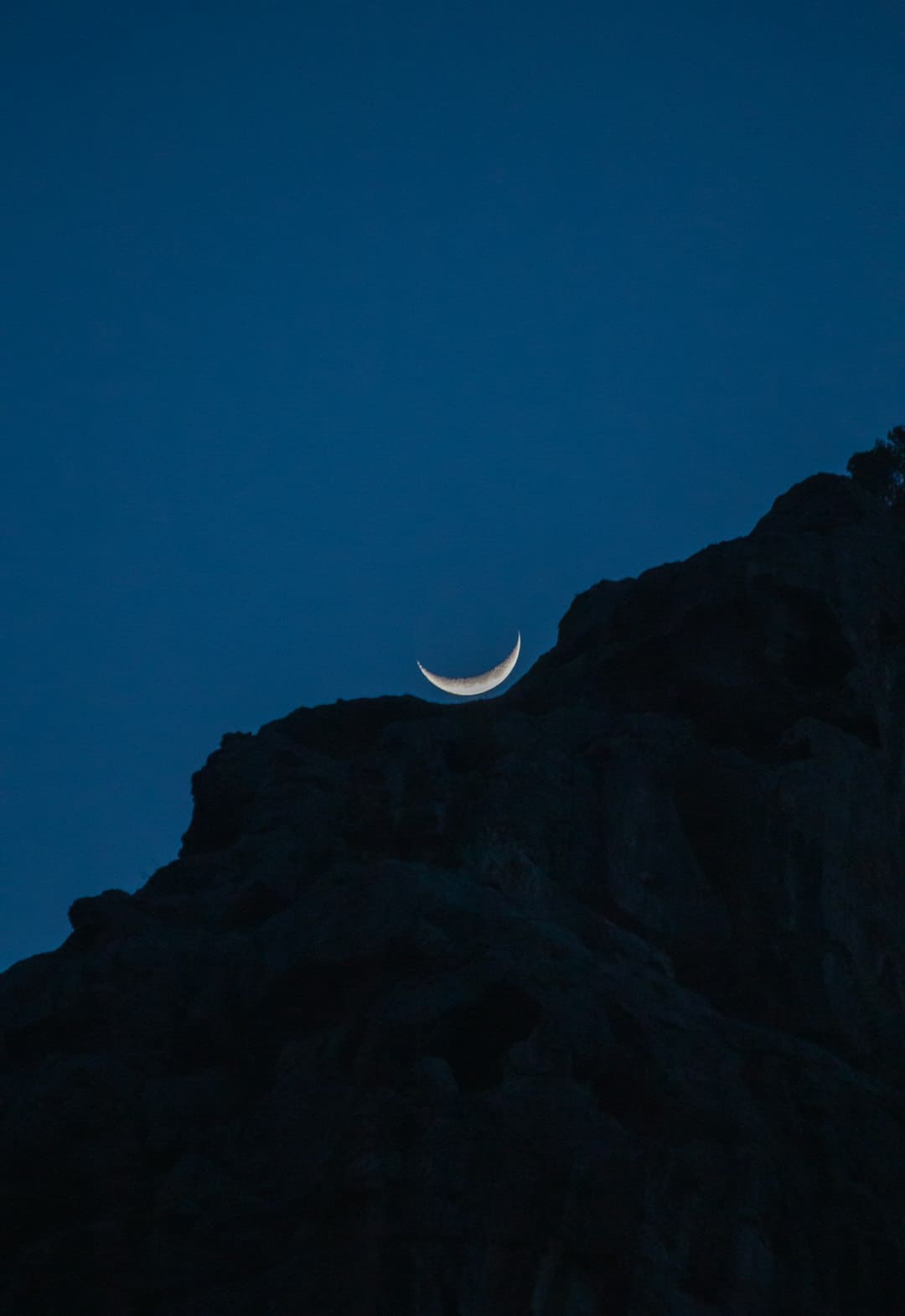 王星越白鹿联系解析：又爱又恨的宿舍日常引发热议